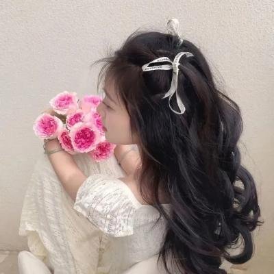 《麻雀》封面