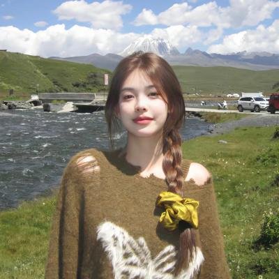 《最后的武士》封面